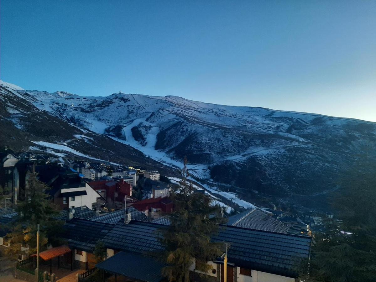Estudio Snowport *